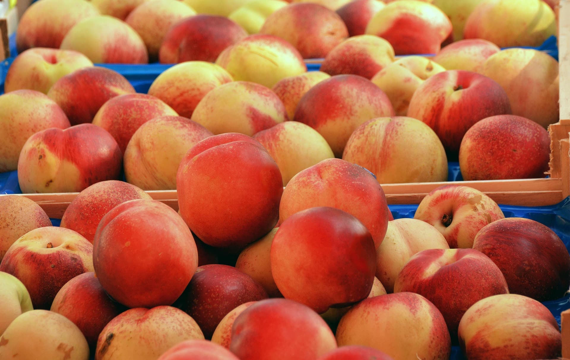 Peaches background